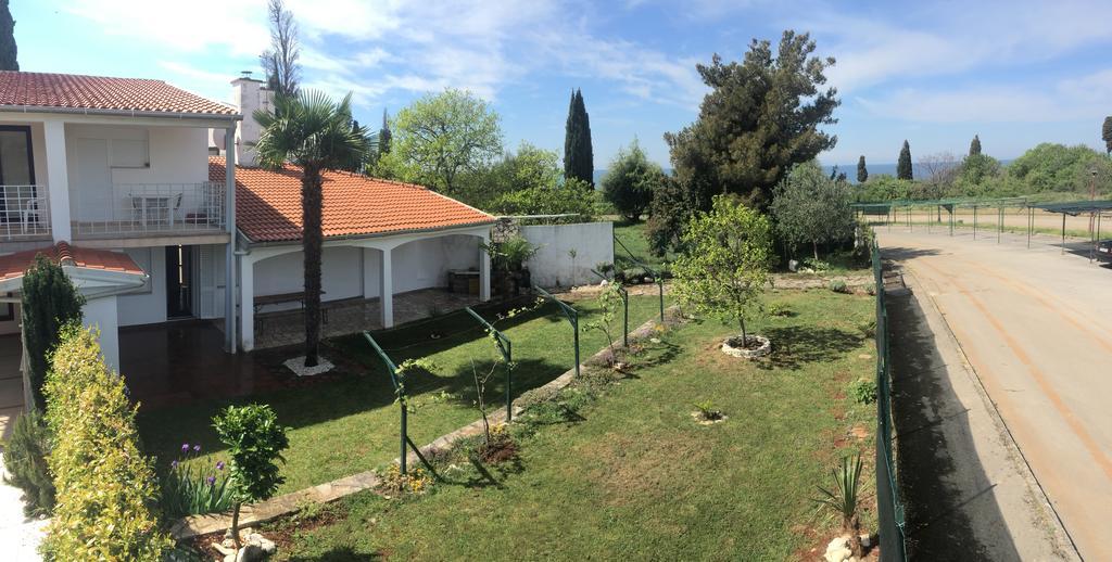 Guest House Mareda Palms Novigrad  Exterior photo