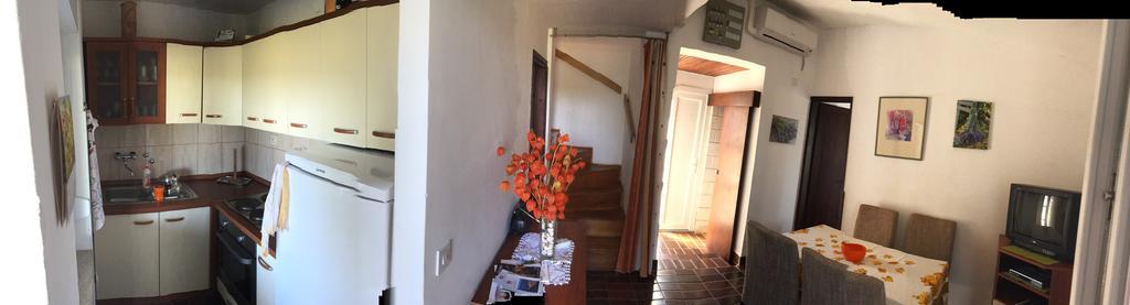 Guest House Mareda Palms Novigrad  Exterior photo